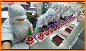 Cake Assembly Plant related image