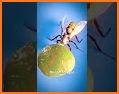 Absurd Black Ant Escape - JRK Games related image