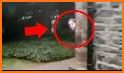 Ghost Hunting camera related image