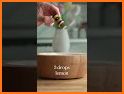 Young Living Essentials related image