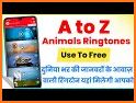 Animal Sounds: Free Ringtones & Animal Noises App. related image