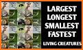 Largest or Smallest Animal related image