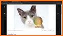 ColorPicker PRO! related image