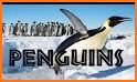 Preschool educational games for kids with Pengui related image