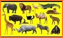 Learn animals -  animal sounds and 3D models related image