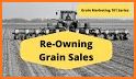 Valero: Grain Marketing Portal related image
