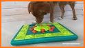 Path Of Dog Puzzle related image