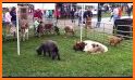 Preble County Pork Festival related image