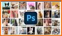 Pic Collage Maker & Editor related image