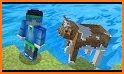 Animals Skins for PE related image
