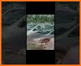 ViPStatus - Girls Video,Phoo Status related image