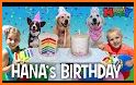 Birthday Party Celebrations: Pets Cooking Fun Game related image