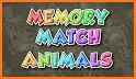 Animals memory game for kids. Matching game. related image