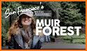 Muir Woods National Monument related image