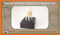 Labrador Pose Tool 3D related image