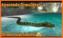 Iguana Simulator related image