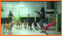 Puppy Salon - Daycare & Rescue Jobs related image