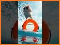 Hamster AI：Soulful AI Chat related image