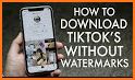 SSS Video Downloader for TikTok - No Watermark related image