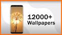 4D Best Live Wallpaper HD - Auto Wallpaper Changer related image