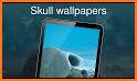 Skull Wallpapers related image