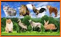 Animal Sounds and Ringtones related image