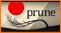 Prune related image