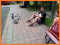 A Park And Pigeons related image