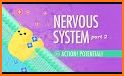 NERVOUS SYSTEM related image