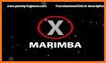 The X-Files Marimba Ringtone related image