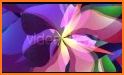 Cute Wallpaper Colorful Gerbera Flowers Theme related image
