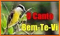 Canto De BemTeVi |Completos related image