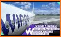 Wingo Airline Cheap Flights related image