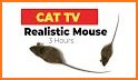 Mouse Chasing related image