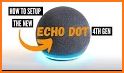Setup Alexa for Echo Dot related image