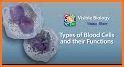 Visible Biology related image