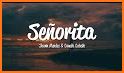 Shawn Mendes - Senorita related image