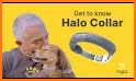 Halo Collar related image