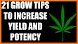 How to increase potency related image