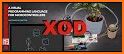 XOD Network related image