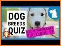 Dog Quiz:Trivia Questions–Guess the dog breed quiz related image
