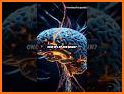 Brain Scan related image