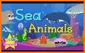 Sea Animals Letter related image