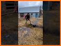 Grass removal and weapon stability BRX related image
