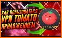 Tomato VPN 2- VPN Proxy related image