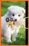 Dog Wallpapers & Puppy Backgrounds related image