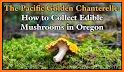 Oregon NW Mushroom Forager Map related image