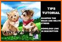 dog coloring book - Games related image