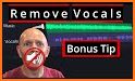 Vocal Remover - Musiclab related image