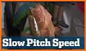 Pitch Speed related image